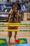 20231013-222056-215N-DSC_5591