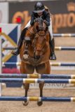 20231013-223632-215N-DSC_7156