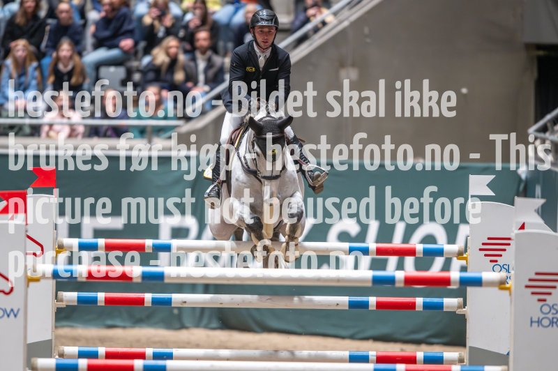 20231014-203204-217N-DSC_8133