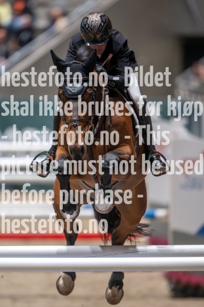 20231014-203414-217N-DSC_8300