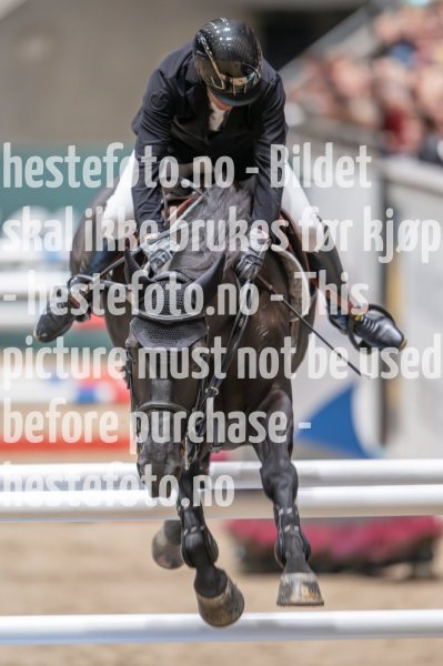 20231014-204038-217N-DSC_8733