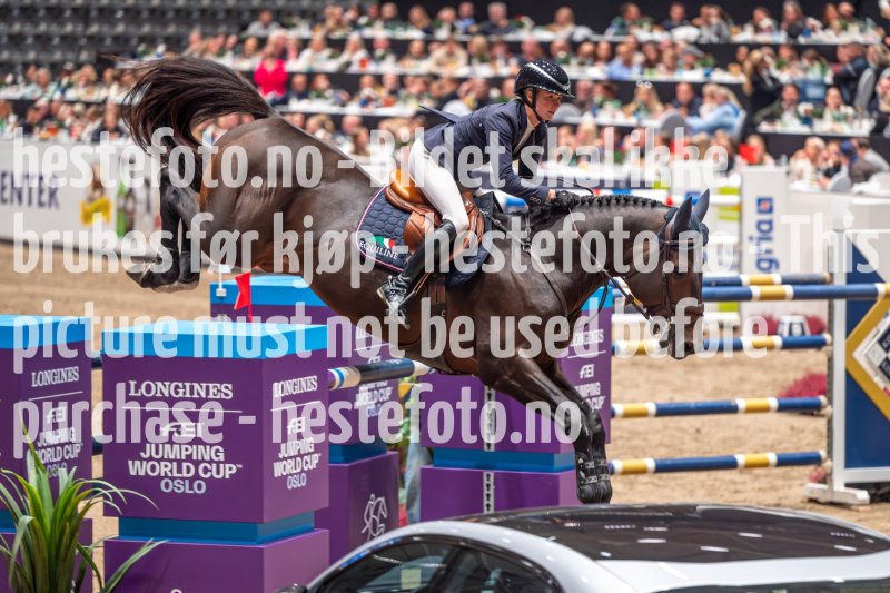 20231014-204332-103N-DSC_4546