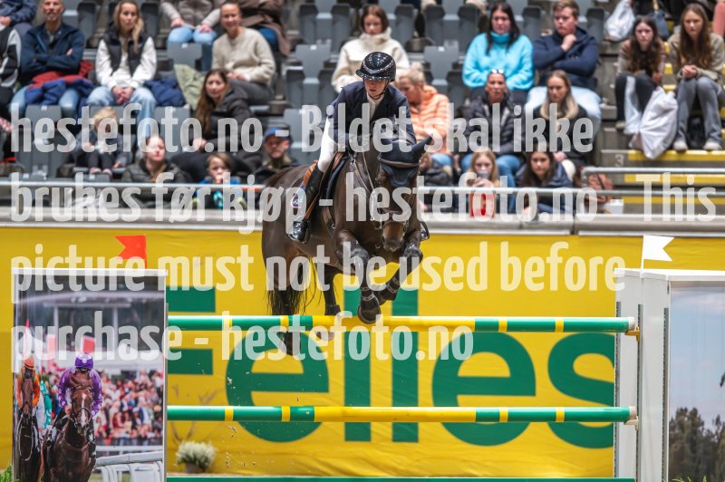 20231014-204339-217N-DSC_8982