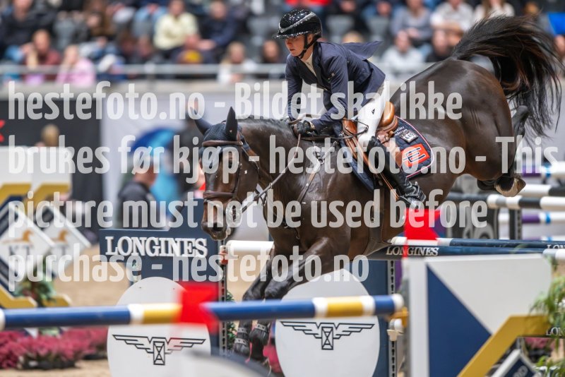 20231014-204343-217N-DSC_9015