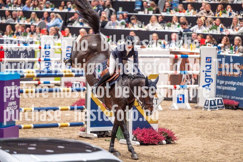20231014-204428-103N-DSC_4575