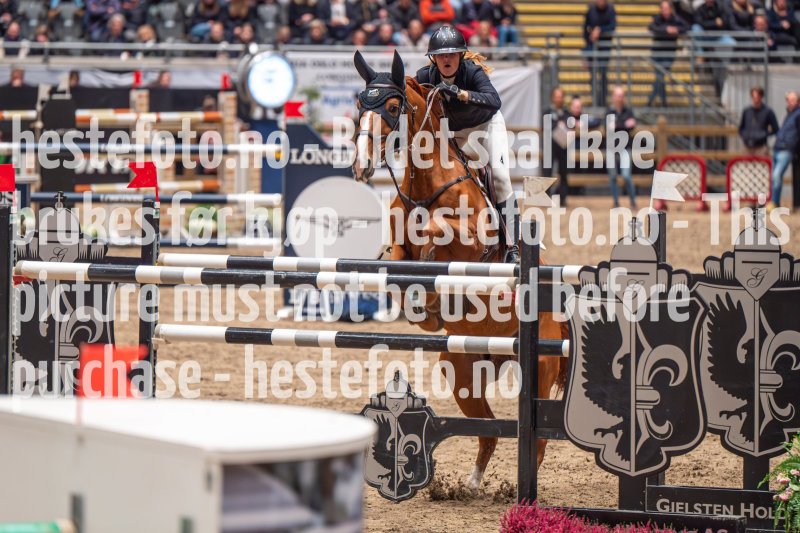 20231014-205029-103N-DSC_4698