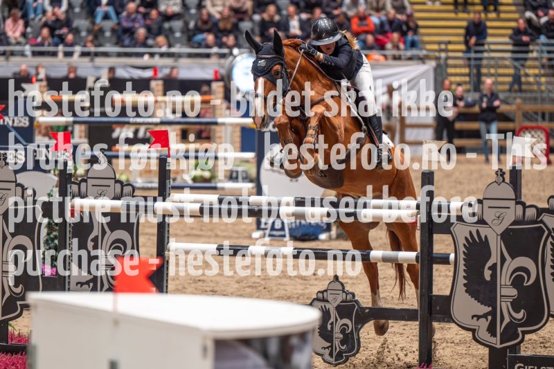 20231014-205029-103N-DSC_4700
