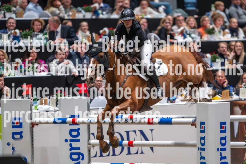 20231014-205042-217N-DSC_9646