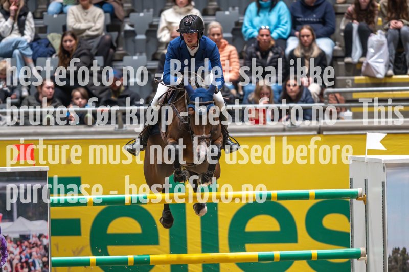 20231014-205221-217N-DSC_9789