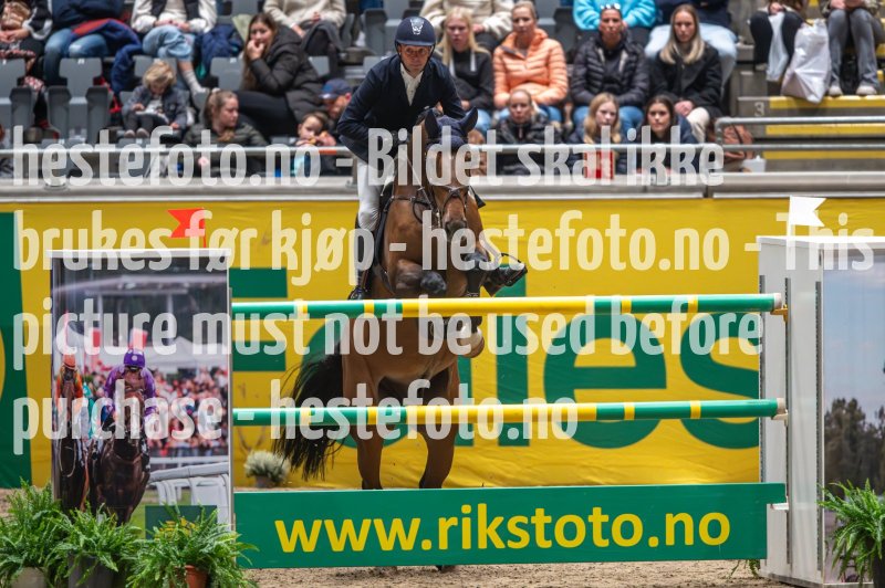 20231014-205632-218N-DSC_0204