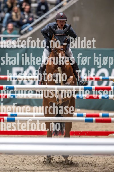 20231014-205958-218N-DSC_0490