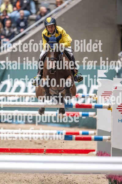 20231014-211256-218N-DSC_1414