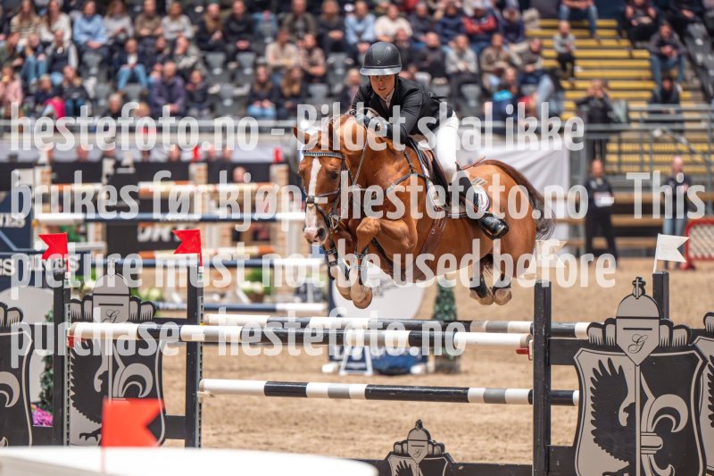 20231014-213345-104N-DSC_5461