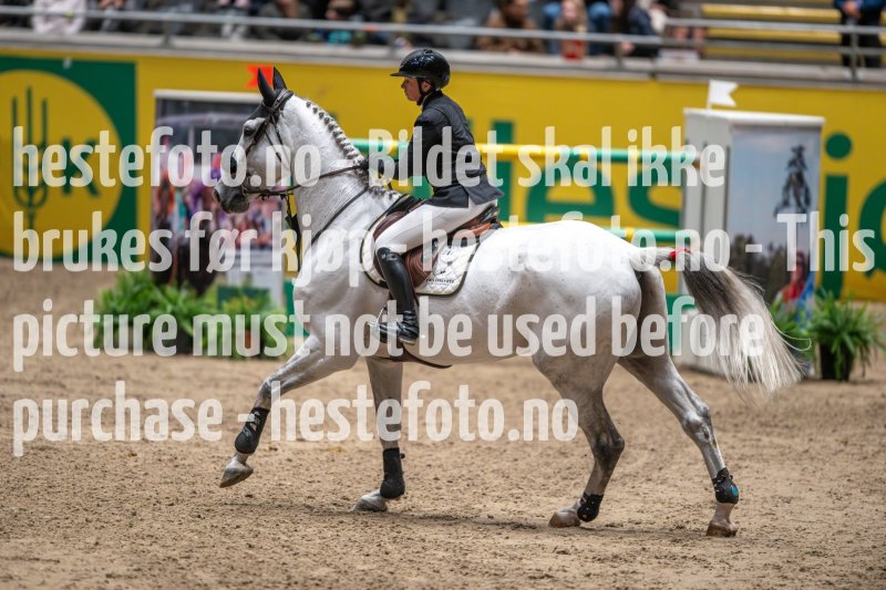20231014-215443-218N-DSC_3767