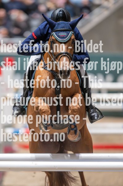 20231014-220230-218N-DSC_4338