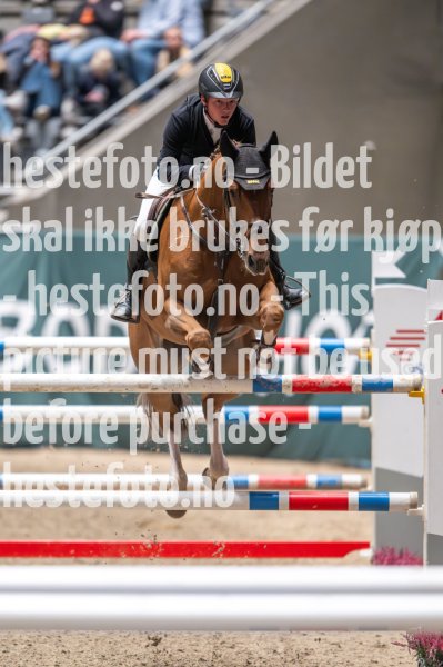 20231014-220917-218N-DSC_4752