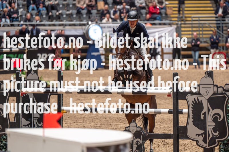 20231014-222546-104N-DSC_6335