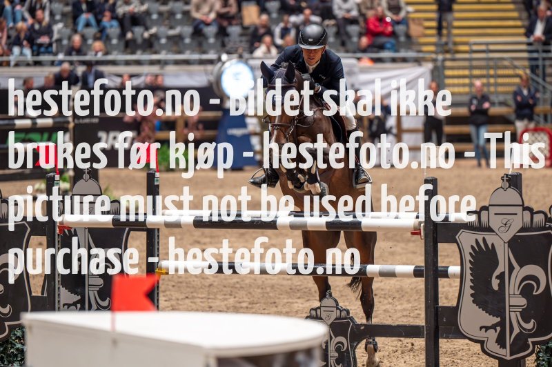 20231014-222546-104N-DSC_6336