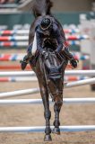 20231014-204441-217N-DSC_9126