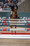 20231014-210227-218N-DSC_0633