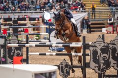20231014-214644-104N-DSC_5728