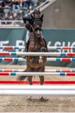20231014-214944-218N-DSC_3415