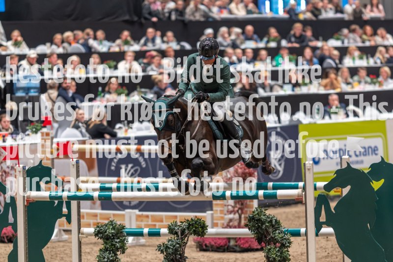 20231015-174135-DSC7741
