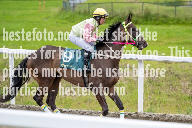 20230810-192523-DSC3903