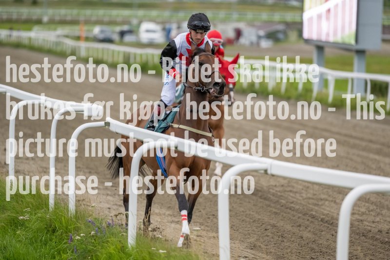 20230810-195218-DSC4024
