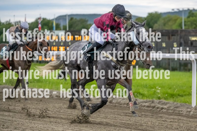 20230810-195840-DSC4078