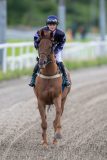 20230810-174933-DSC_8377