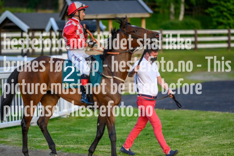 20210610-204205-DSC6833