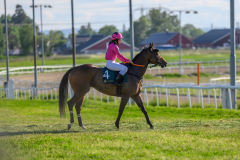 20210610-183631-DSC6247