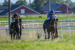20210610-184209-DSC6276