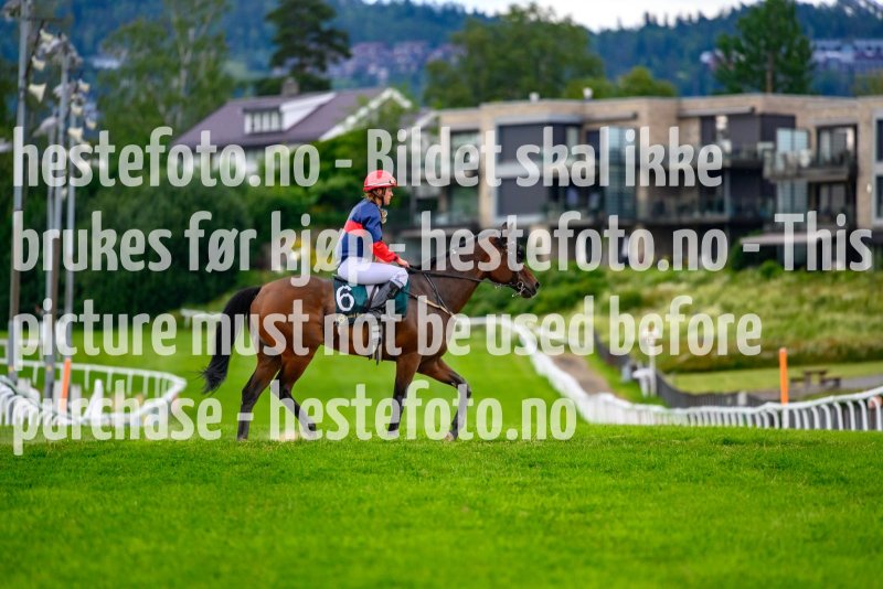 20210701-191139-DSC2240