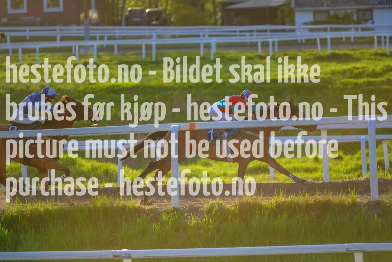 20210522-201458-DSC1623