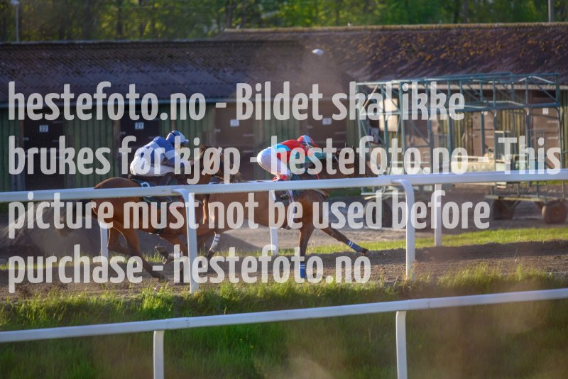 20210522-201501-DSC1637