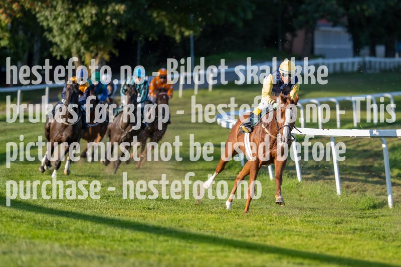 20210902-181744-DSC1230