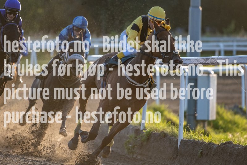 20210902-190621-DSC1306