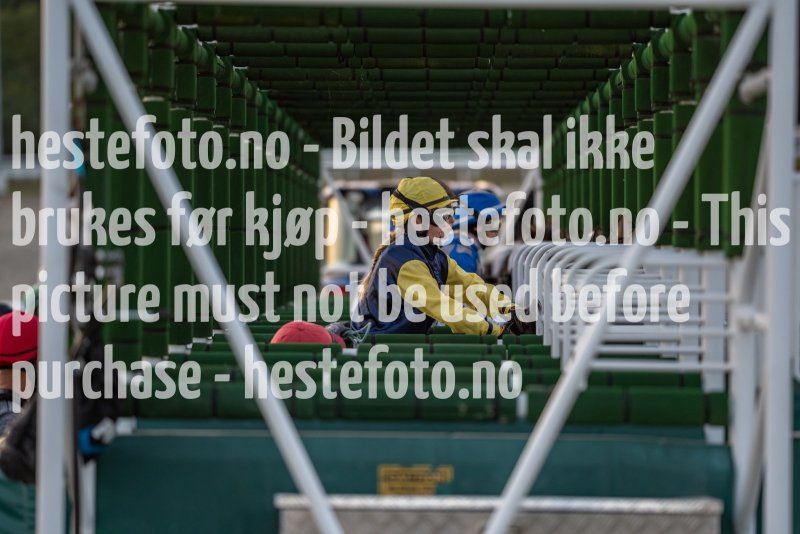 20210902-195939-DSC1508