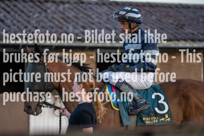 20210902-200343-DSC1601