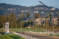 20210902-193324-DSC1405