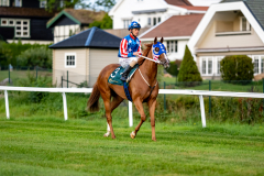 20210909-192603-DSC3501