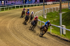 20210909-202306-DSC3655