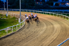 20210909-202445-DSC3713