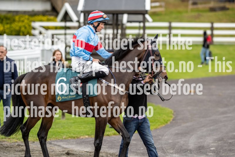 20210916-174708-DSC4861
