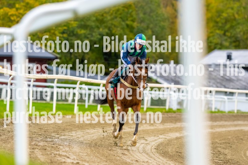 20210930-173244-DSC0060