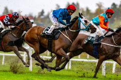 20211003-130718-DSC0291