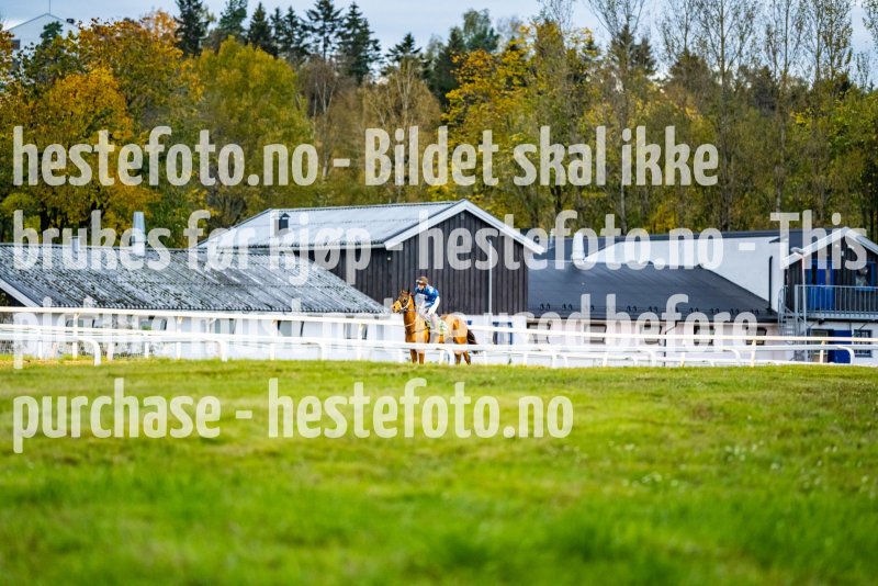 20211007-183722-DSC0357