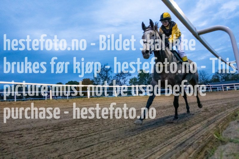 20211007-183918-DSC03952